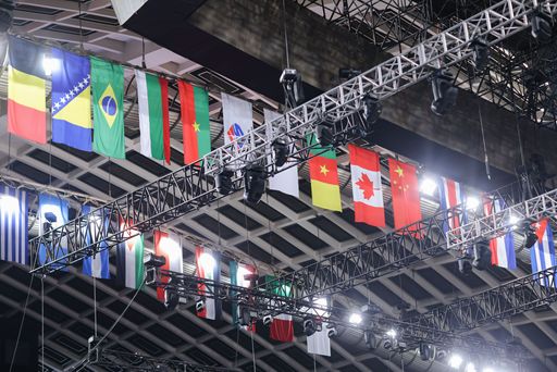A low angle of the stadium ceiling with various flags