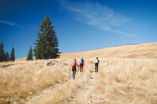 A wide shot of a group of hikers walking through a field of dry grass on a cloudy day