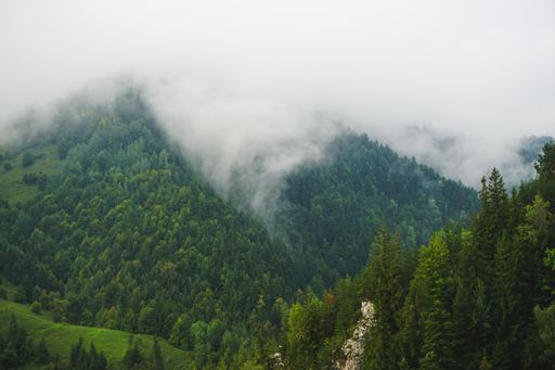A wide shot of mountains full of trees surrounded by thick fog on  a cold day