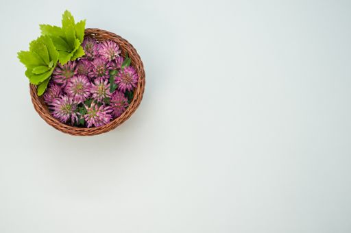 A high angle shot of red clovers in a basket on a gray surface with space for text