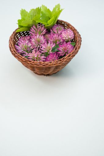 A vertical shot of red clovers in a basket on a gray surface with space for text