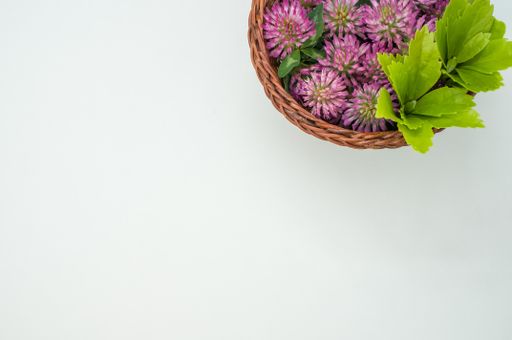 A top view of red clovers in a basket on a gray surface with space for text