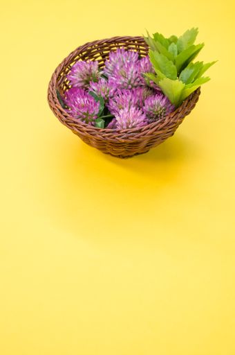 A vertical shot of red clovers in a basket on a yellowsurface with space for text