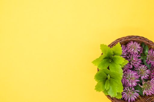 A top view of red clovers in a basket on a yellow surface with space for text
