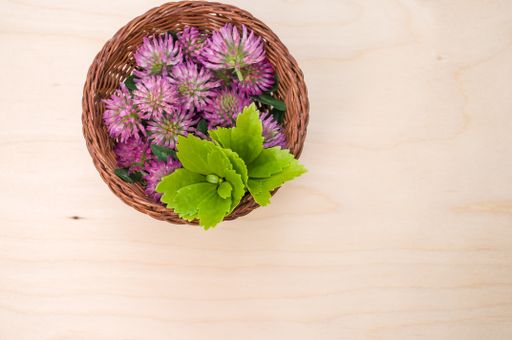 A top view of fresh red clover flowers with leaves on a wicker basket on a wooden surface