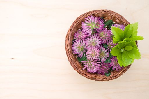 A top view of red clovers in a basket on a wooden surface with space for text