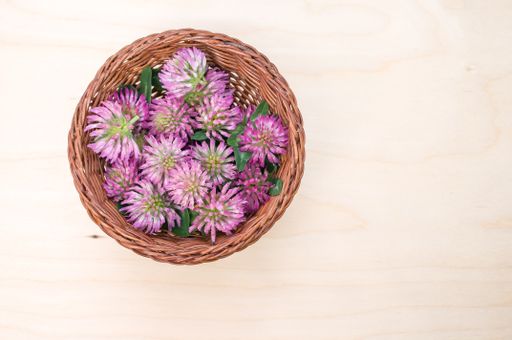 A top view of red clovers in a basket on a wooden surface with space for text