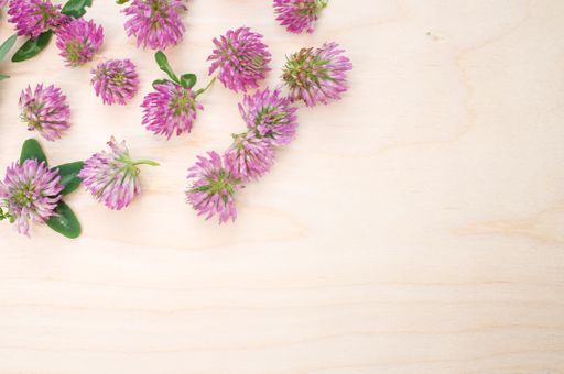 A top view of red clovers on a wooden surface with space for text