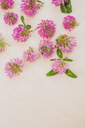 A vertical shot of red clovers on a wooden surface with space for text