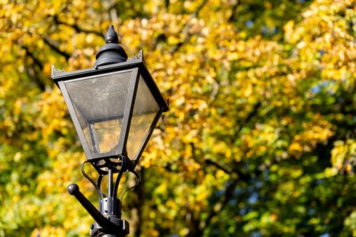 A metal street light illuminated against a backdrop of a tree in full autumnal foliage, the yellow leaves contrasting against the dark background