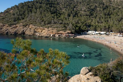 The sea surrounded by the beach and hills covered in greenery under the sunlight in Ibiza in Spain