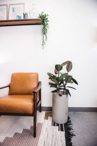 A vertical shot of a brown chair and a house plant with decorations on a white wall in the living room