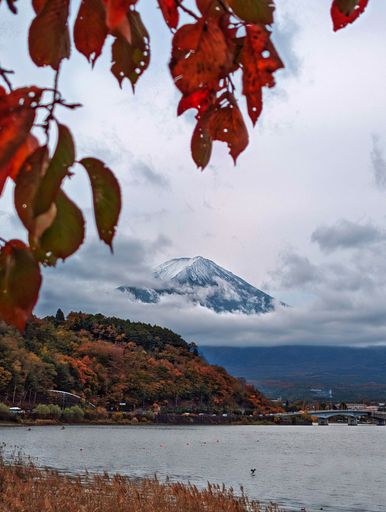 A picturesque winter landscape featuring a snow capped mountain visible through a vibrant array of red and brown foliage along the river bank