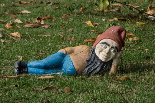 A closeup shot of a garden gnome lying in the grass