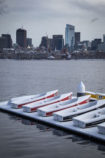 The several sailboats on a dock covered in snow along the Charles River with the Boston skyline