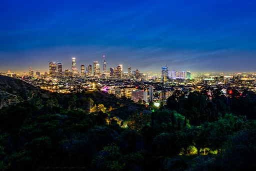 A nighttime aerial view of the downtown Los Angeles skyline from atop a hill of trees
