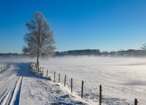 A scenic view of a winter landscape with a snow-covered road and trees