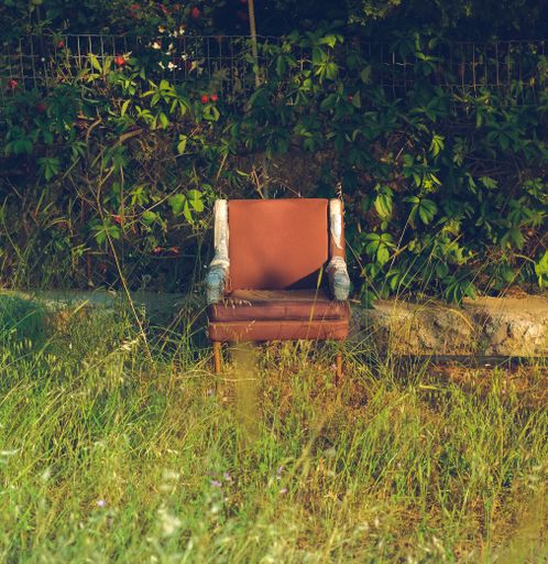 A vertical shot of an old armchair in a green park