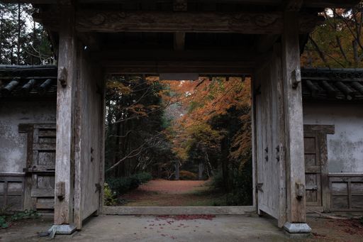 An old wooden arch along the pathway surrounded by trees