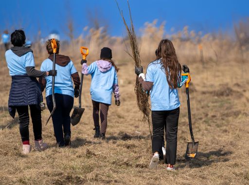 A group of people in bright blue clothing carrying equipment for planting in a garden