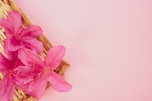 A top view of a wicker basket with pink azalea flowers on pastel pink surface for a copy space
