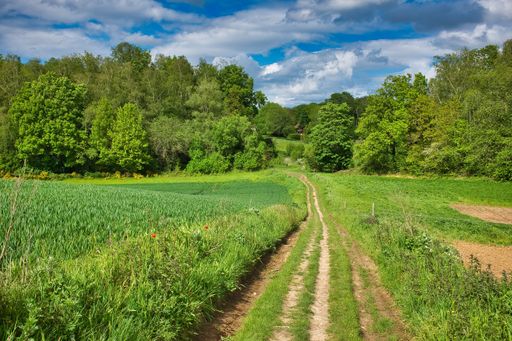 A pathway on a green field under a cloudy blue sk
