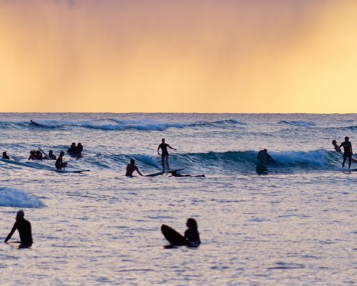 A group of silhouetted surfers paddle out to the waves in the calm evening waters at sunset.