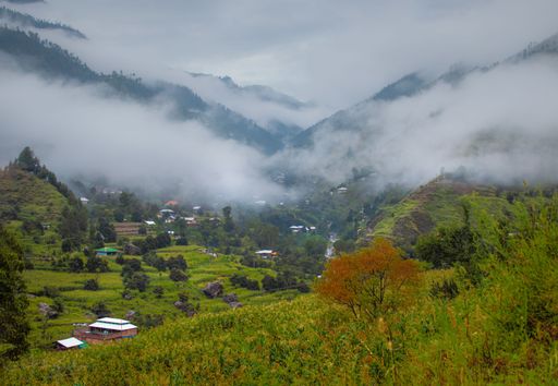A sprawling expanse of lush green grass stretches out to meet a horizon of rolling hills dotted with bright green trees in the background