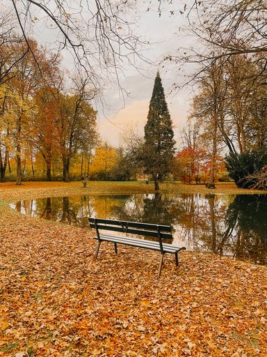 A scenic view of a lake in a park in autumn