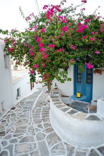 A stone pathway leads to an ancient entryway, adorned with picturesque floral-patterned walls and vibrant pink bougainvillea plants