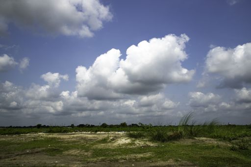 A landscape of a field covered in greenery under a blue cloudy sky in the countryside