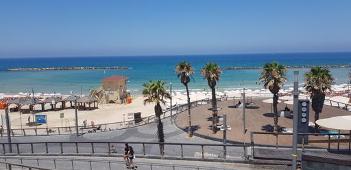 An aerial view of a sunny day on the sandy beach with tropical palm trees