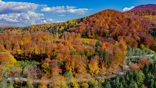 An aerial view of a vibrant mountain landscape in autumn in Romania