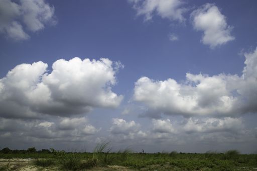A landscape of a field covered in greenery under a blue cloudy sky in the countryside