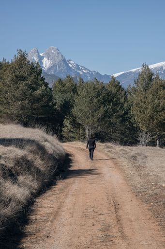 A female figure in a light-colored coat strides along a dirt road, a peaceful forest in the foreground
