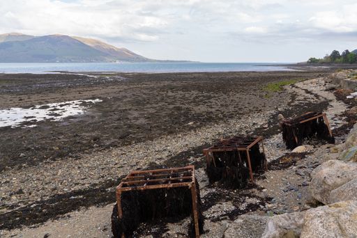 A beautiful shot of a river during low tide with old metallic structure covered with seaweeds in Carlingford, County Louth, Ireland
