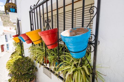 Group of terracotta planters suspended from a window ledge of a residential building, featuring a variety of lush green vegetation