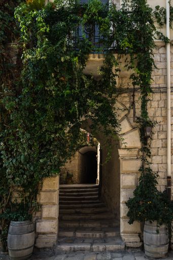 A vertical shot of a stairway with an arch design of a building in Trani historic center in Apulia, Italy with vine leaves on the wall