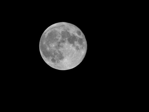 A low angle shot of the magnificent full moon in the dark night sky