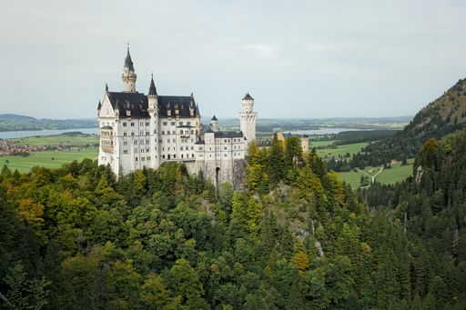 A majestic white castle stands atop a vibrant, lush green forest, creating a picturesque landscape