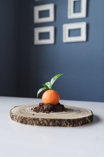 A vertical shot of a mandarin shaped pastry on chocolate biscuit crumbles on a wooden board