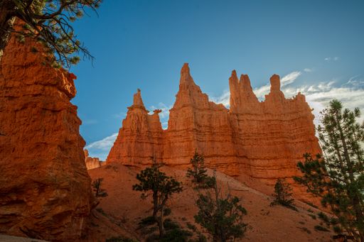 A scenic view of the red sandstone formations and trees at Bryce Point, Utah.