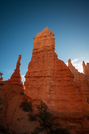 A scenic view of the red sandstone formations and trees at Bryce Point, Utah.