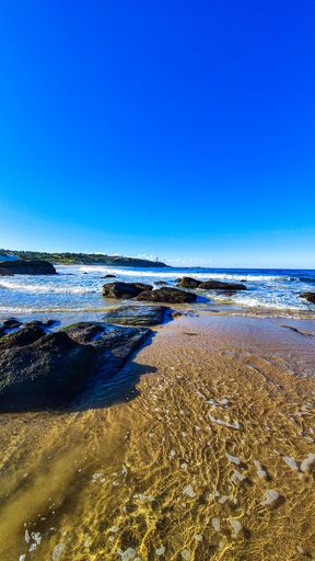 A vertical shot of the beach under a clear blue sky