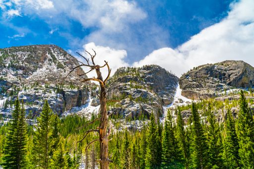 A stunning view of the Rocky Mountain National Park in Colorado, with lush green valleys