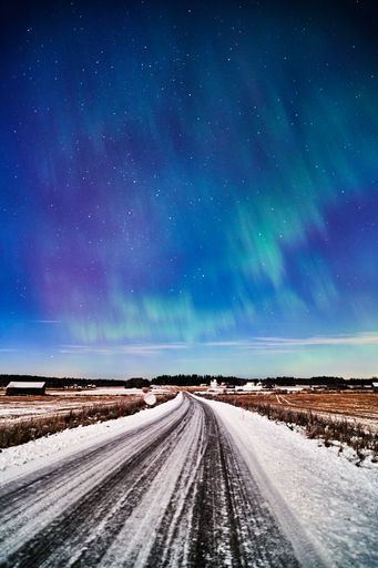 A stunning winter night sky displaying an array of swirling greens and purples of the Aurora Borealis