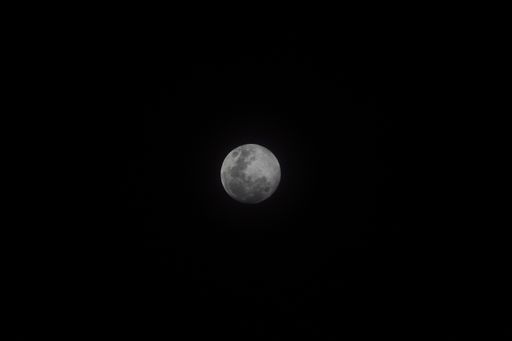 A stunning image of a night sky with the moon shining through the clouds and silhouetted trees in the foreground