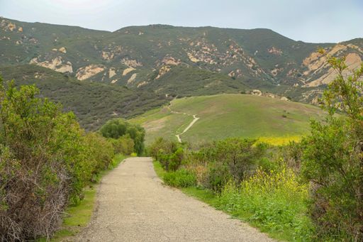 A hiking trail leads toward the interior and the Santa Ynez Mountains inside Gaviota State Park.