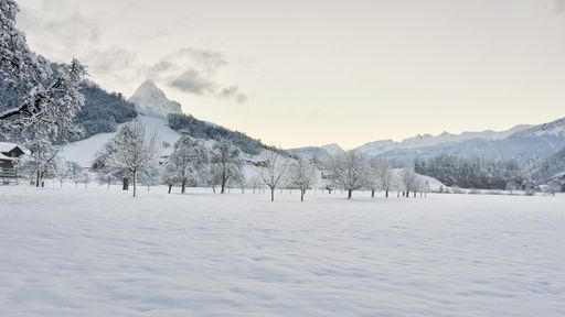 A scenic view of Steinen, Switzerland during winter