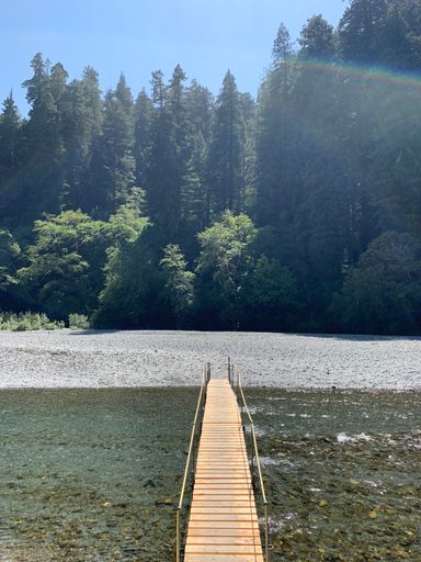 A small bridge spanning across a tranquil body of water, leading to a lush and verdant forest oasis